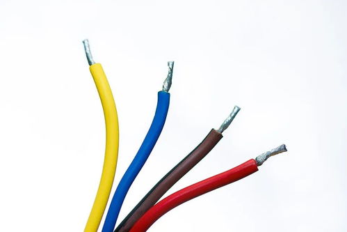 媒體曝光電線電纜